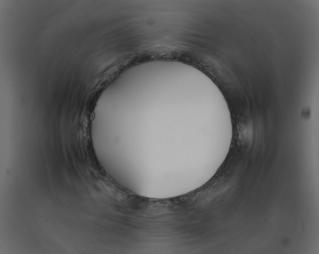 X0000092090964200710101058