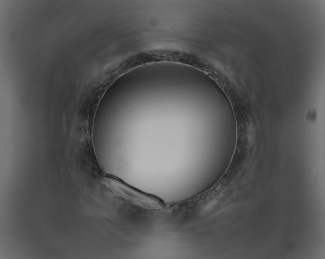 X0000092090965200710101058