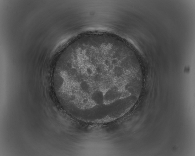 X0000092090967200710101058