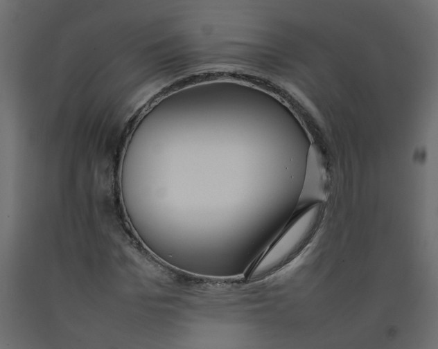 X0000092090969200710101058