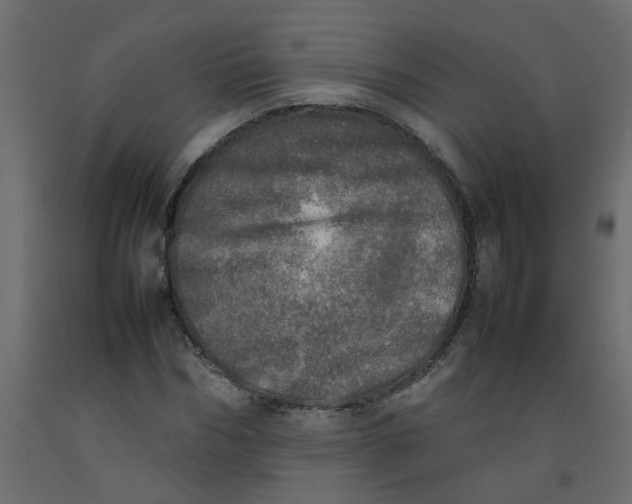 X0000092090970200710101058