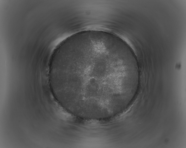 X0000092090971200710101057