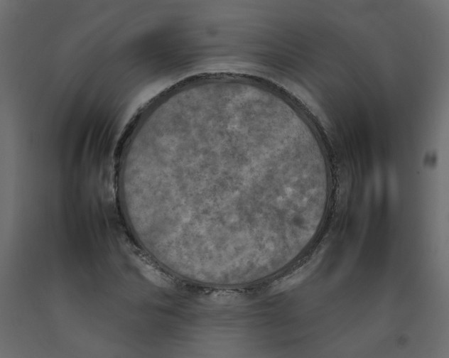 X0000092090974200710101057
