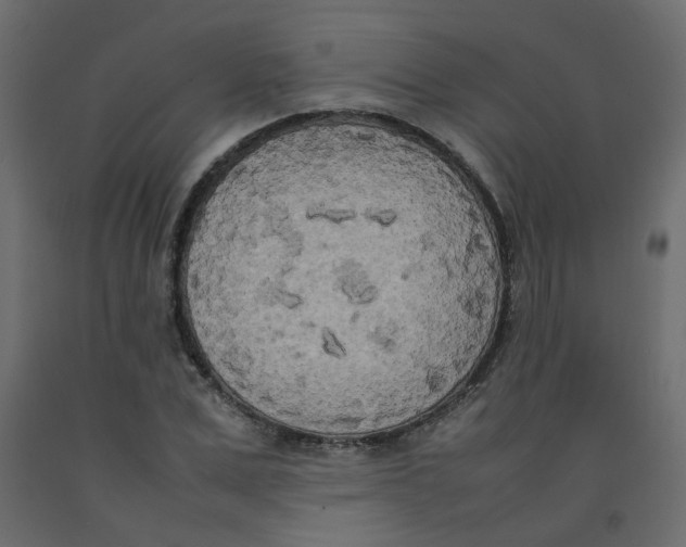 X0000092090975200710101057