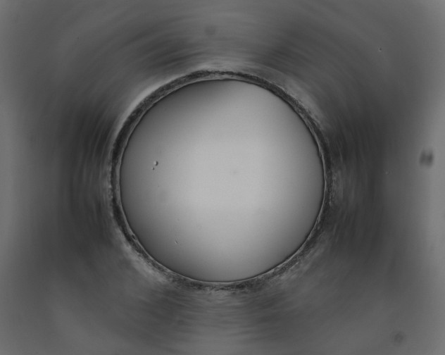 X0000092090976200710101057