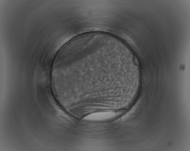 X0000092090977200710101057