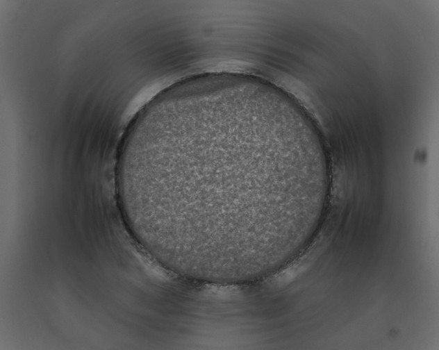 X0000092090978200710101057