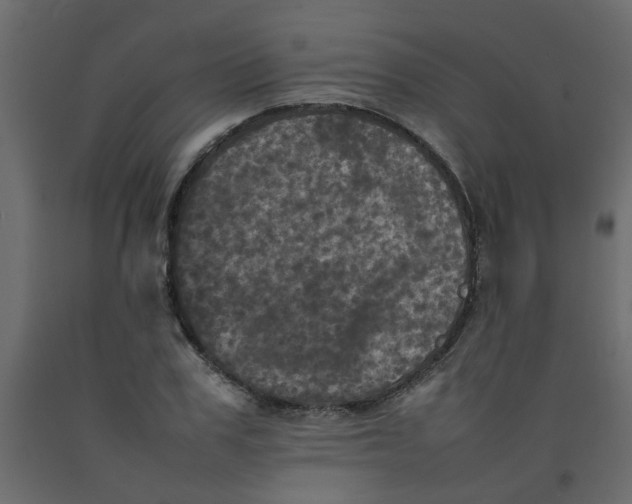 X0000092090979200710101057