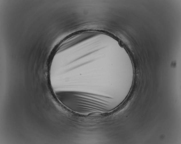 X0000092090981200710101057