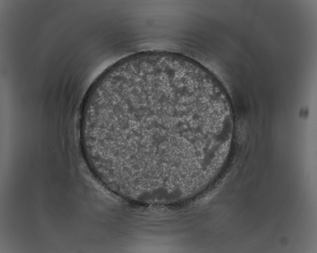 X0000092090983200710101057