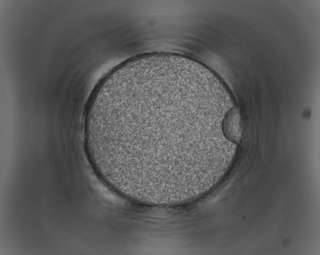 X0000092090987200710101057
