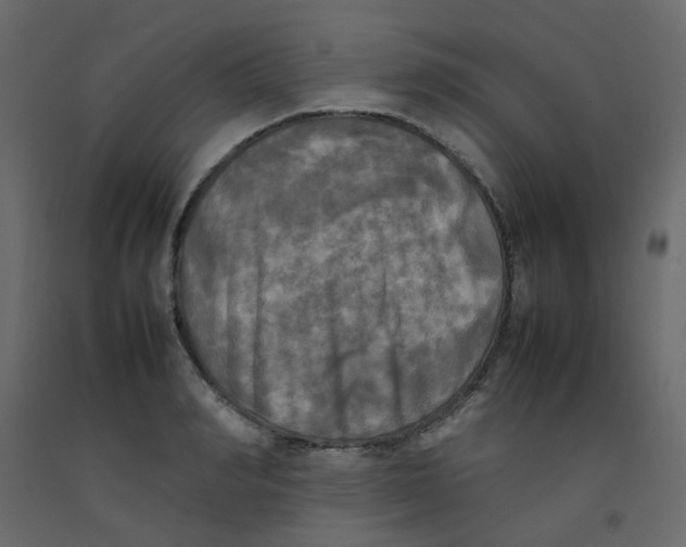 X0000092090990200710101057