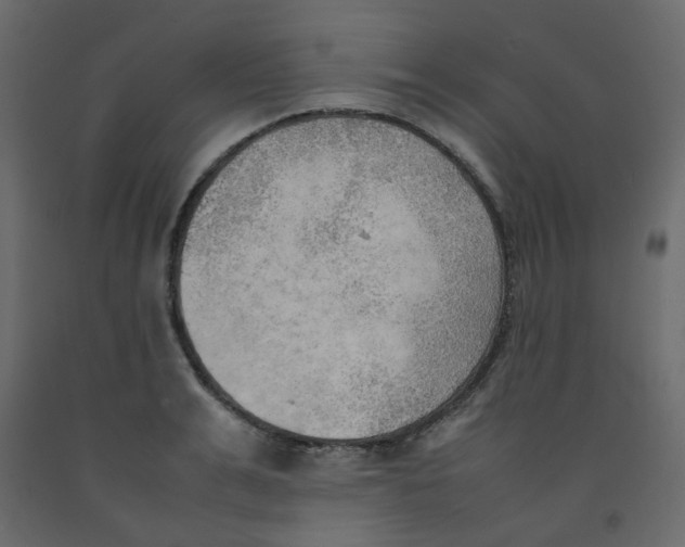X0000092090991200710101057