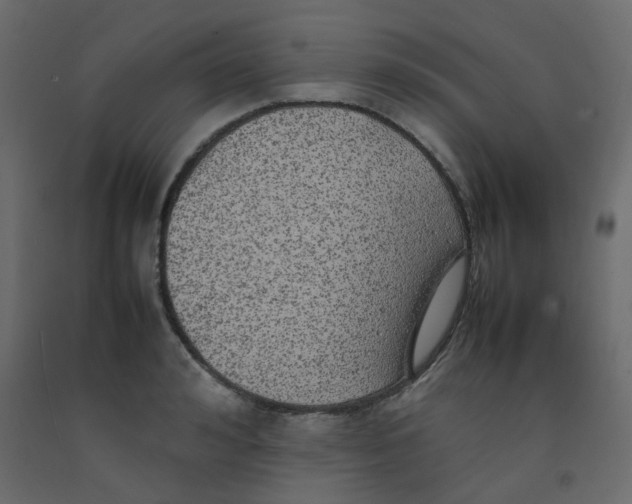 X0000092090992200710101057