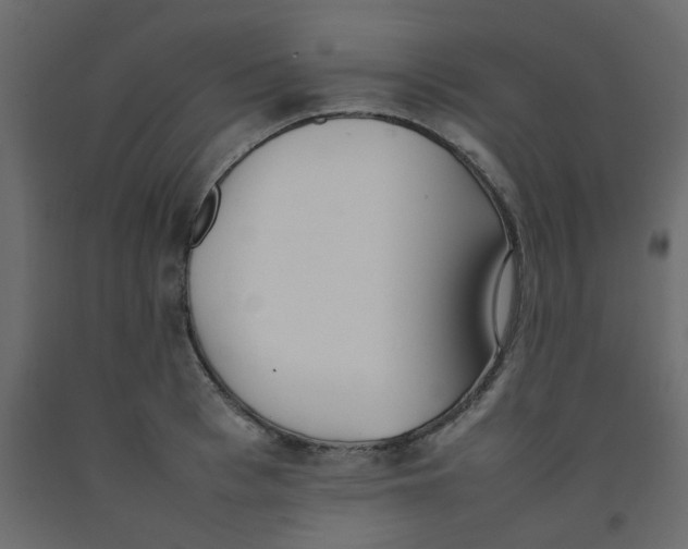 X0000092090993200710101057