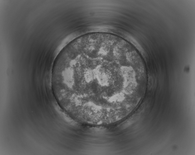 X0000092090994200710101057