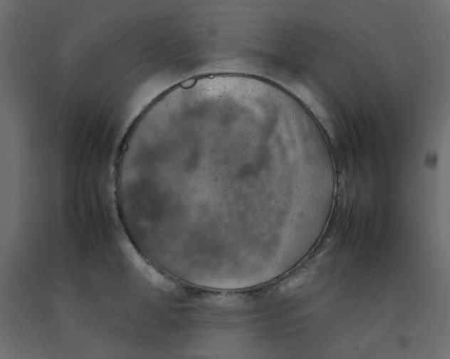 X0000092090998200710101057