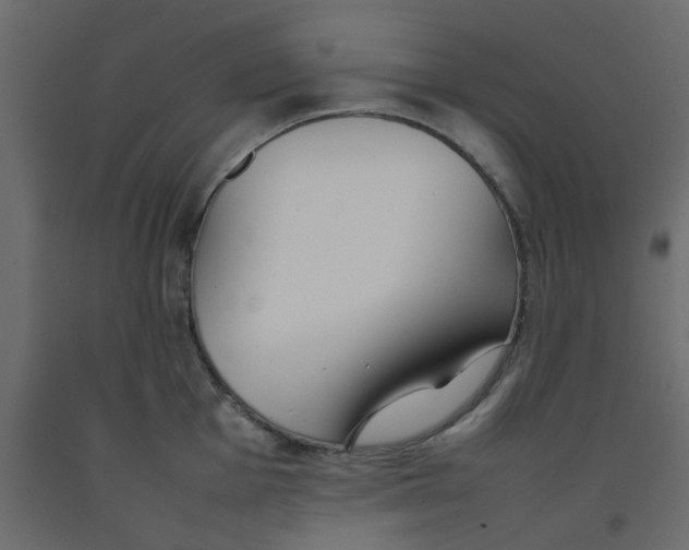 X0000092091001200710101057