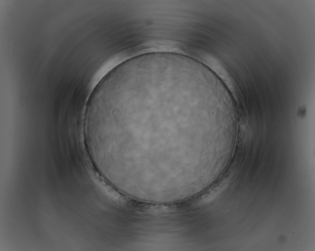 X0000092091002200710101057