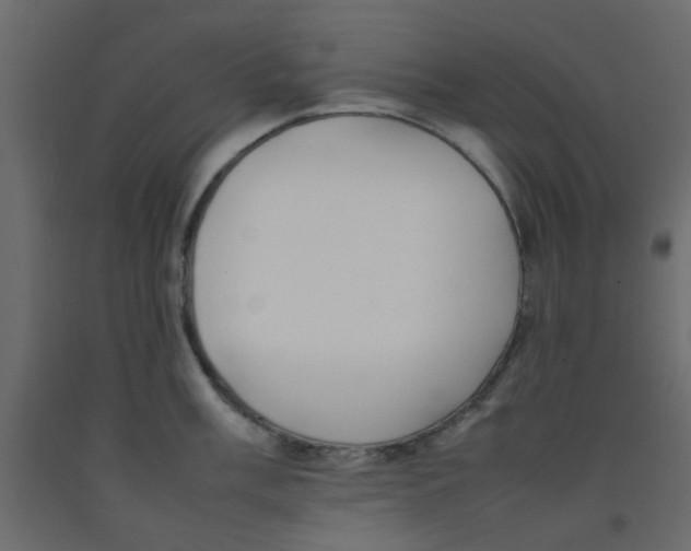 X0000092091003200710101057