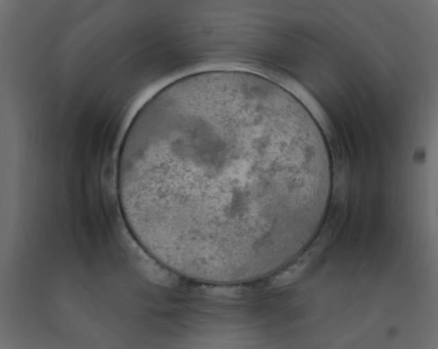 X0000092091004200710101057