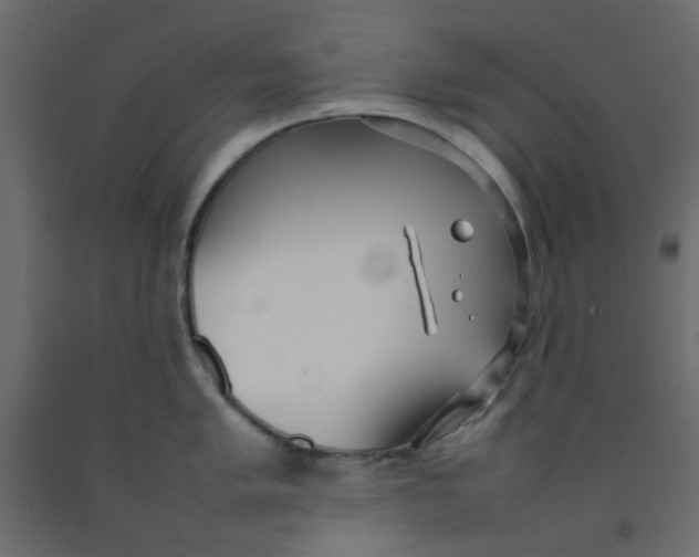 X0000092091005200710101057