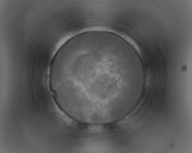 X0000092091006200710101057
