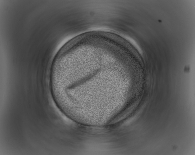 X0000092091007200710101057
