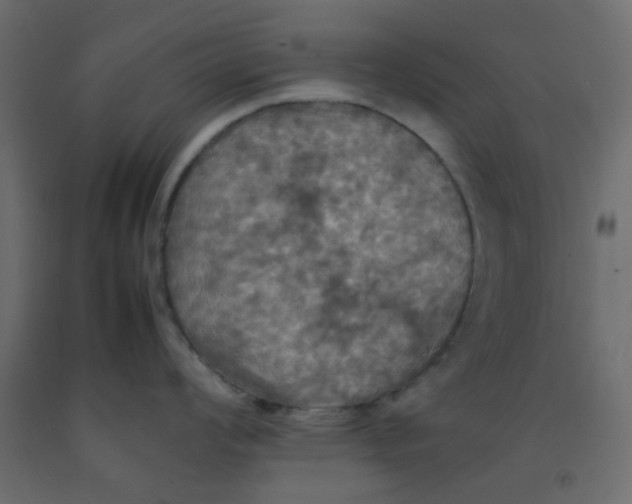 X0000092091008200710101057