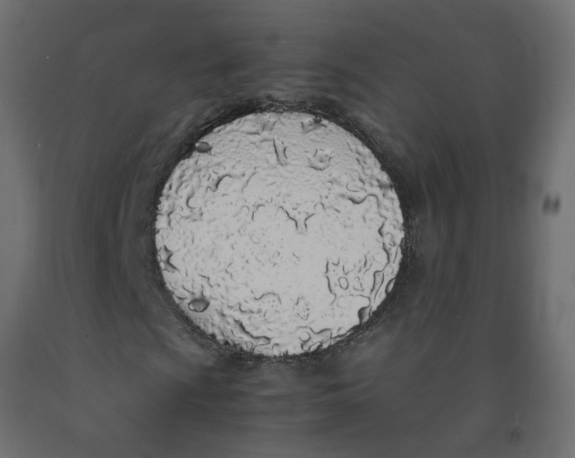 X0000092091009200710101056