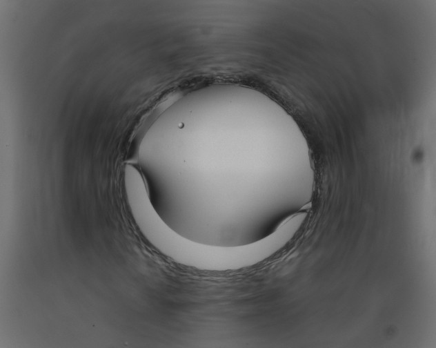 X0000092091010200710101056