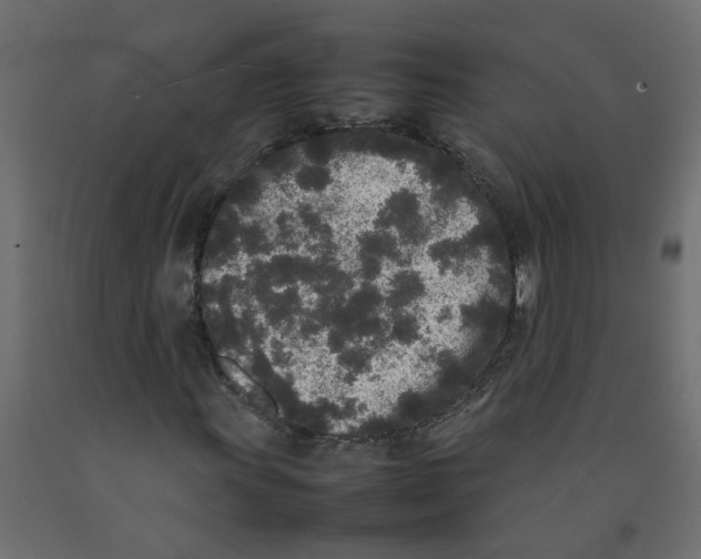 X0000092091011200710101056