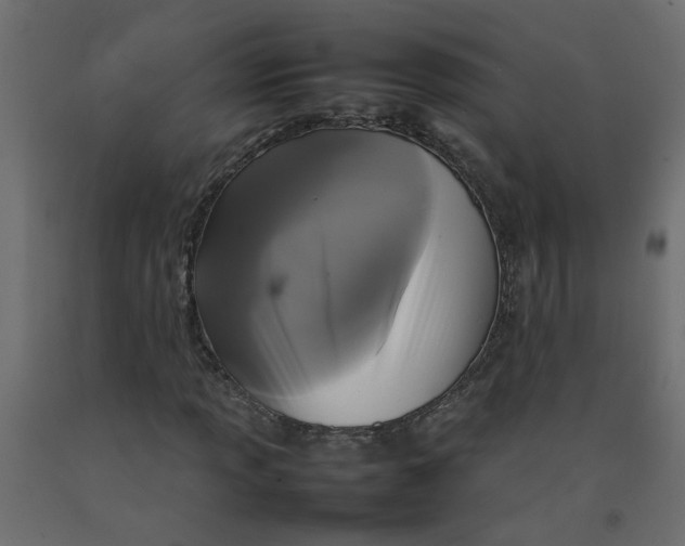 X0000092091013200710101056