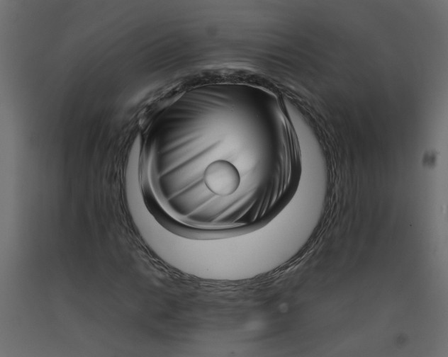 X0000092091014200710101056