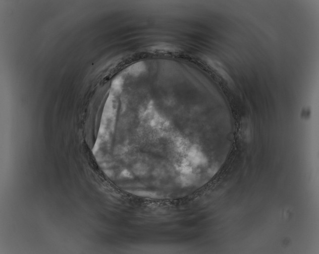 X0000092091015200710101056