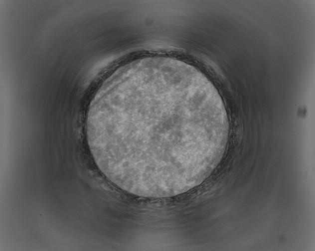 X0000092091016200710101056