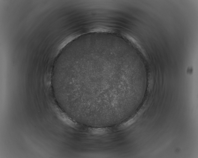 X0000092091017200710101056