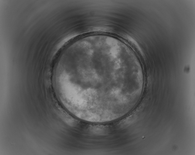 X0000092091019200710101056