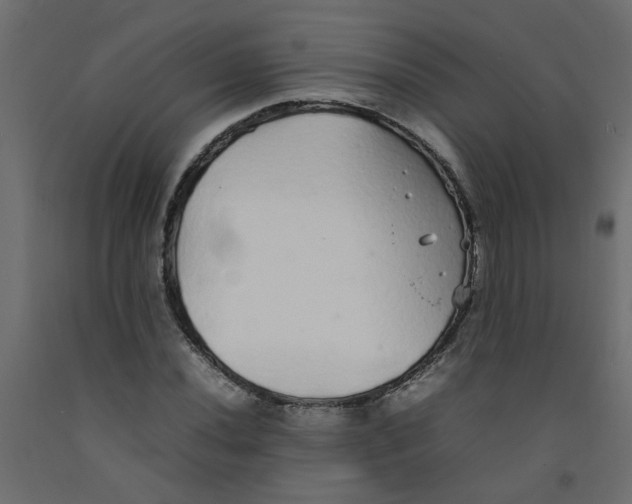 X0000092091020200710101056