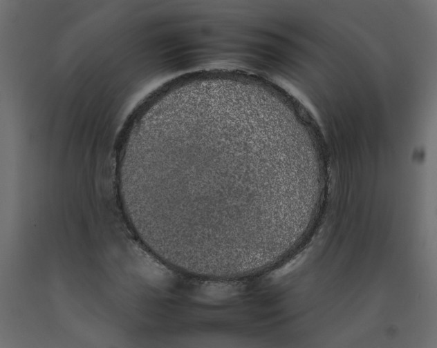 X0000092091021200710101056