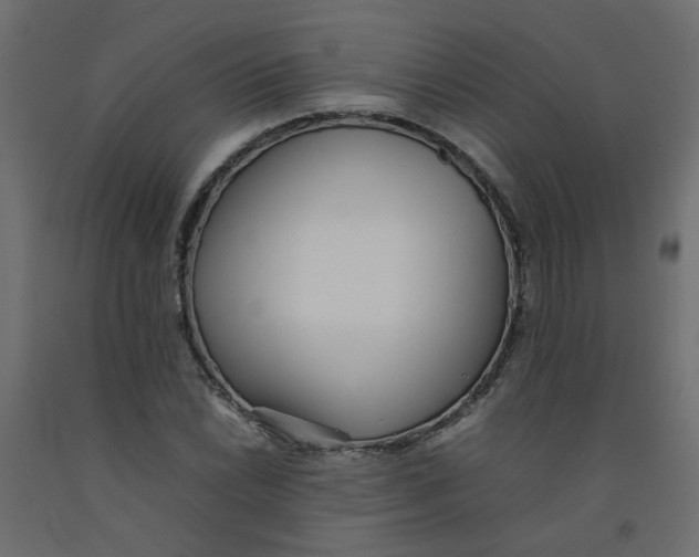 X0000092091022200710101056