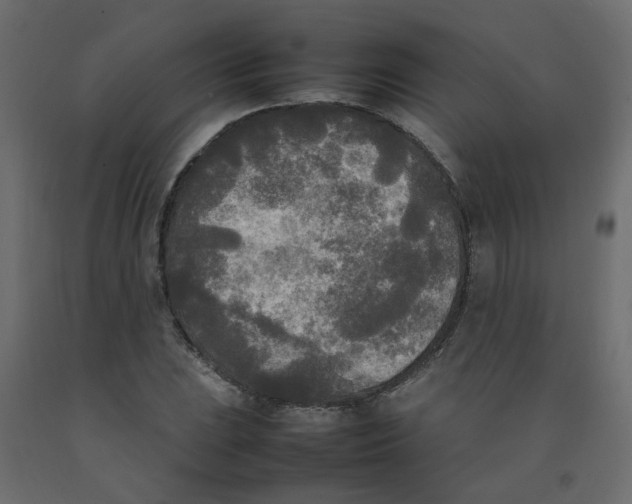 X0000092091023200710101056