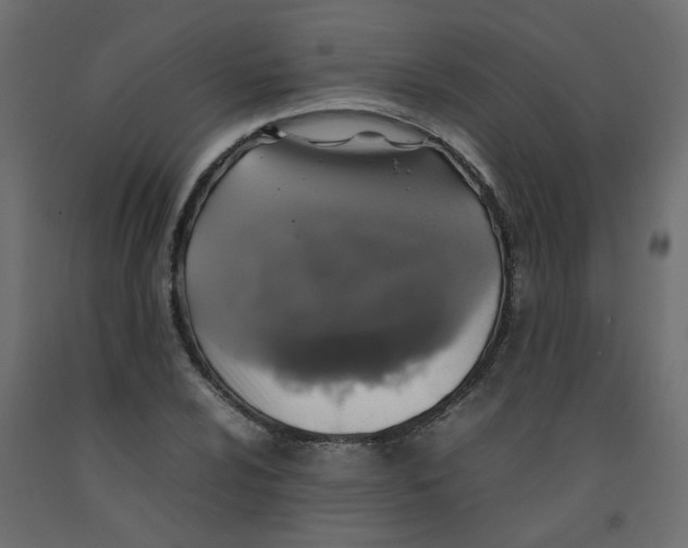 X0000092091024200710101056