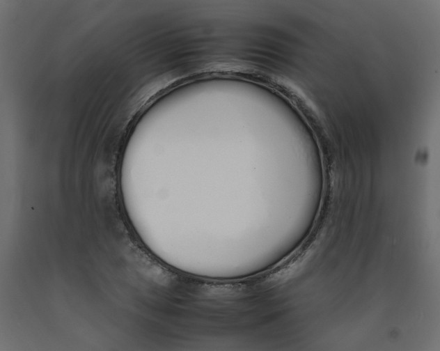X0000092091025200710101056