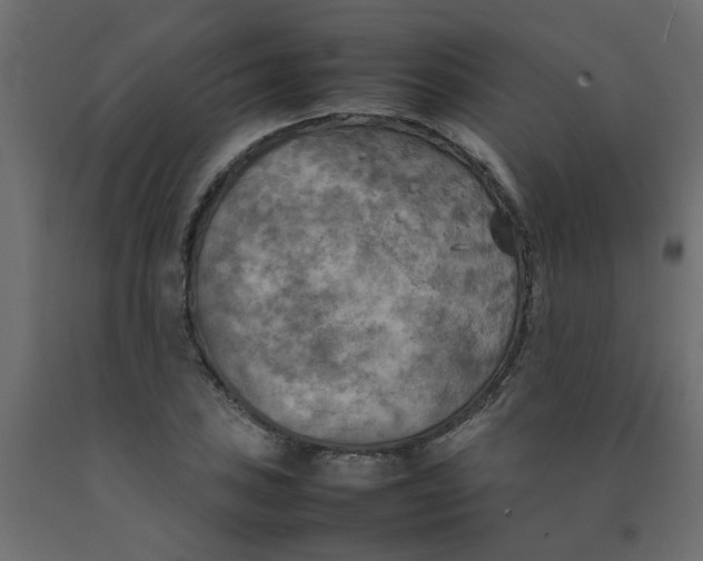 X0000092091027200710101056