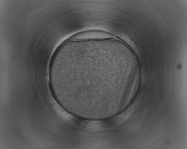 X0000092091028200710101056