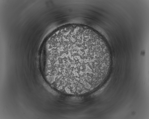 X0000092091029200710101056