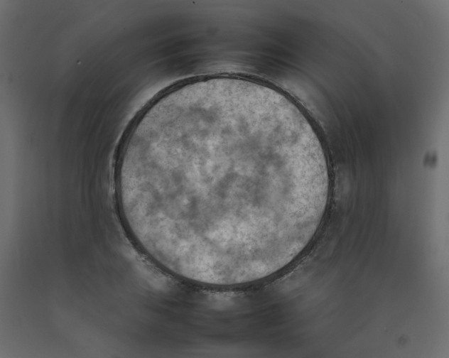 X0000092091031200710101057