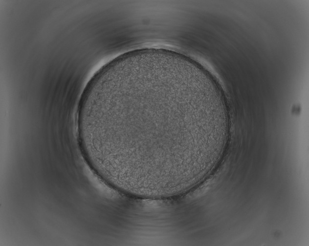 X0000092091032200710101057