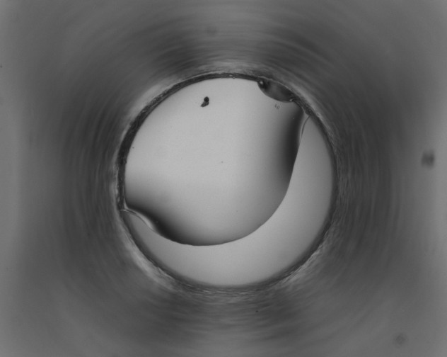 X0000092091034200710101057